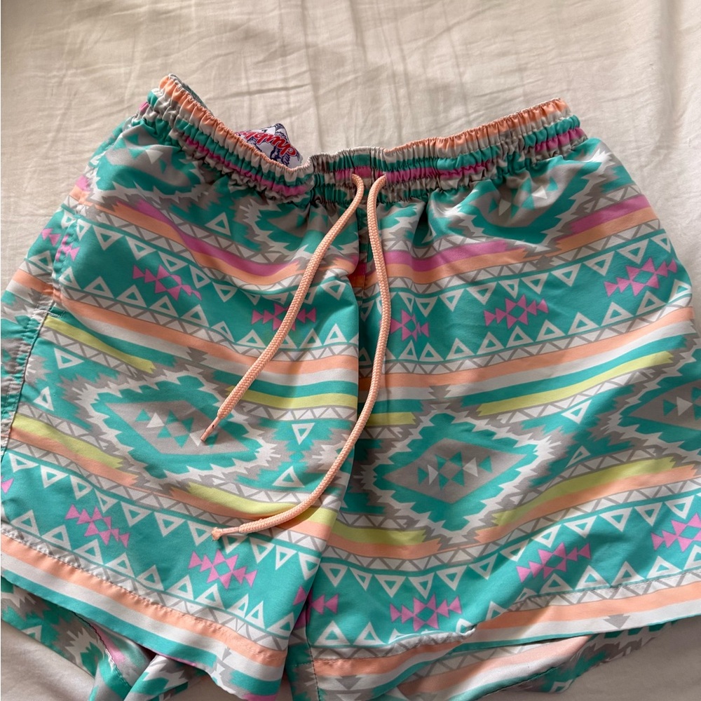 Chubbies Multicolor Striped Shorts